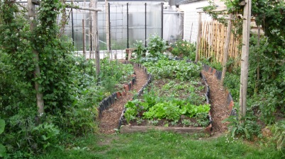 Eind maart en de hele tuin is bedekt, terwijl klassieke tuiniers nog bloot zitten (1)